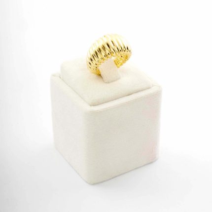 Ring 1